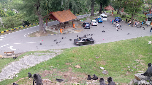 Lotus’s Kuala Selangor