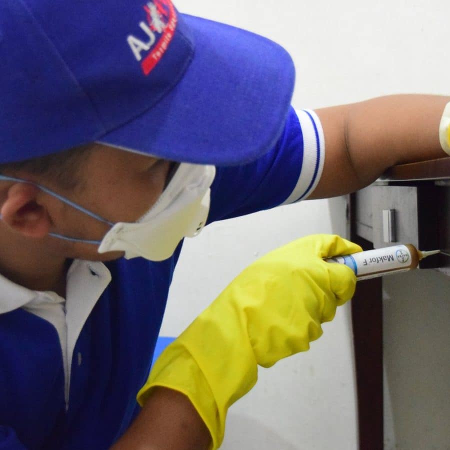 perkhidmatan peti surat terbaik di temerluh
